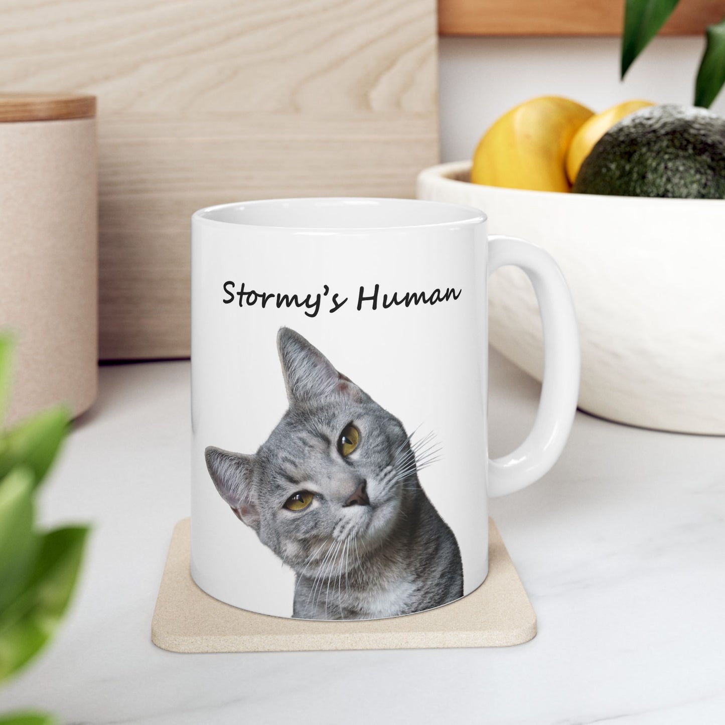 Photo coffee mug for cat lovers featuring pet picture and Stormy's Human message