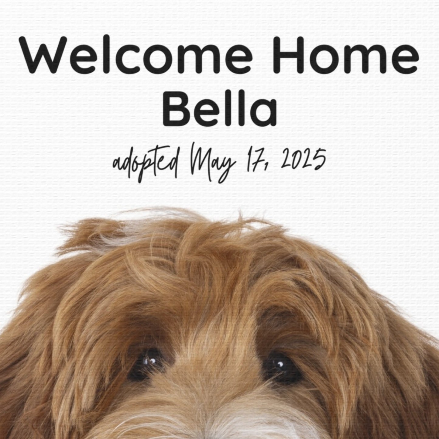 Close-up of personalized dog adoption canvas featuring the name Bella and adoption date, printed on white matte canvas.