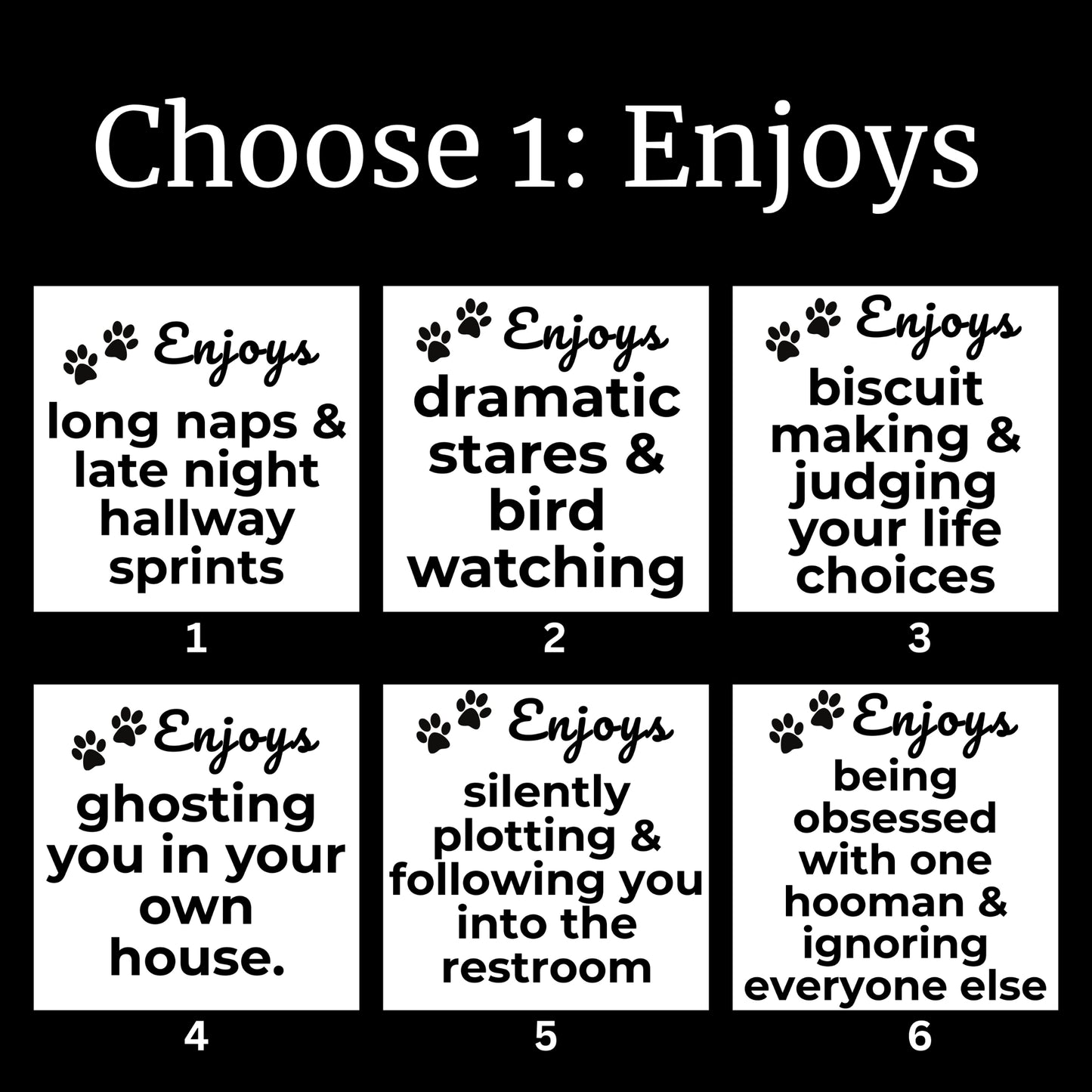 Graphic showing six funny “Enjoys” phrase options for personalized cat blanket, including hallway sprints, ghosting, bird watching, and biscuit making