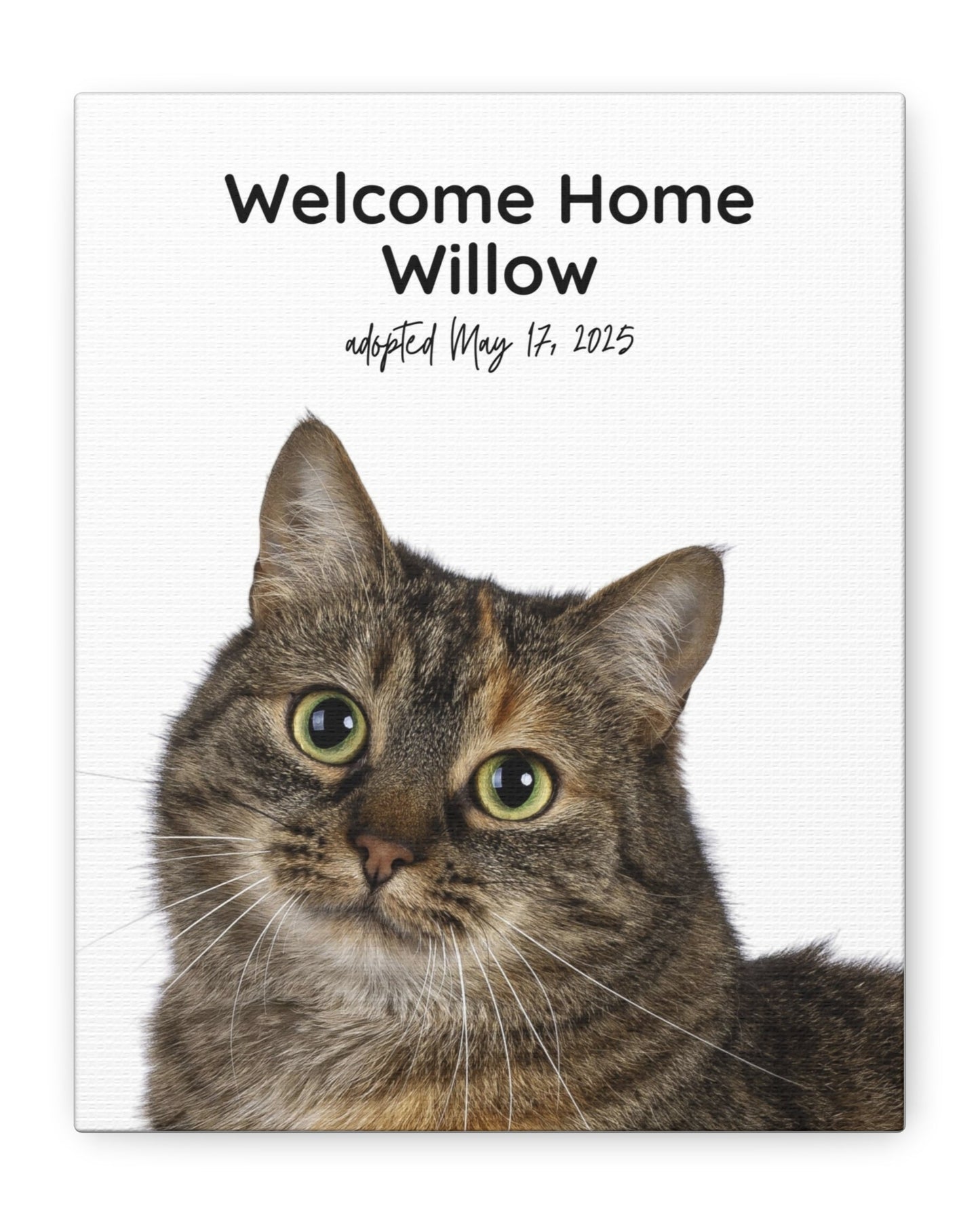 Custom cat adoption canvas featuring a tabby cat with the text “Welcome Home Willow – adopted May 17, 2025” on a white background.