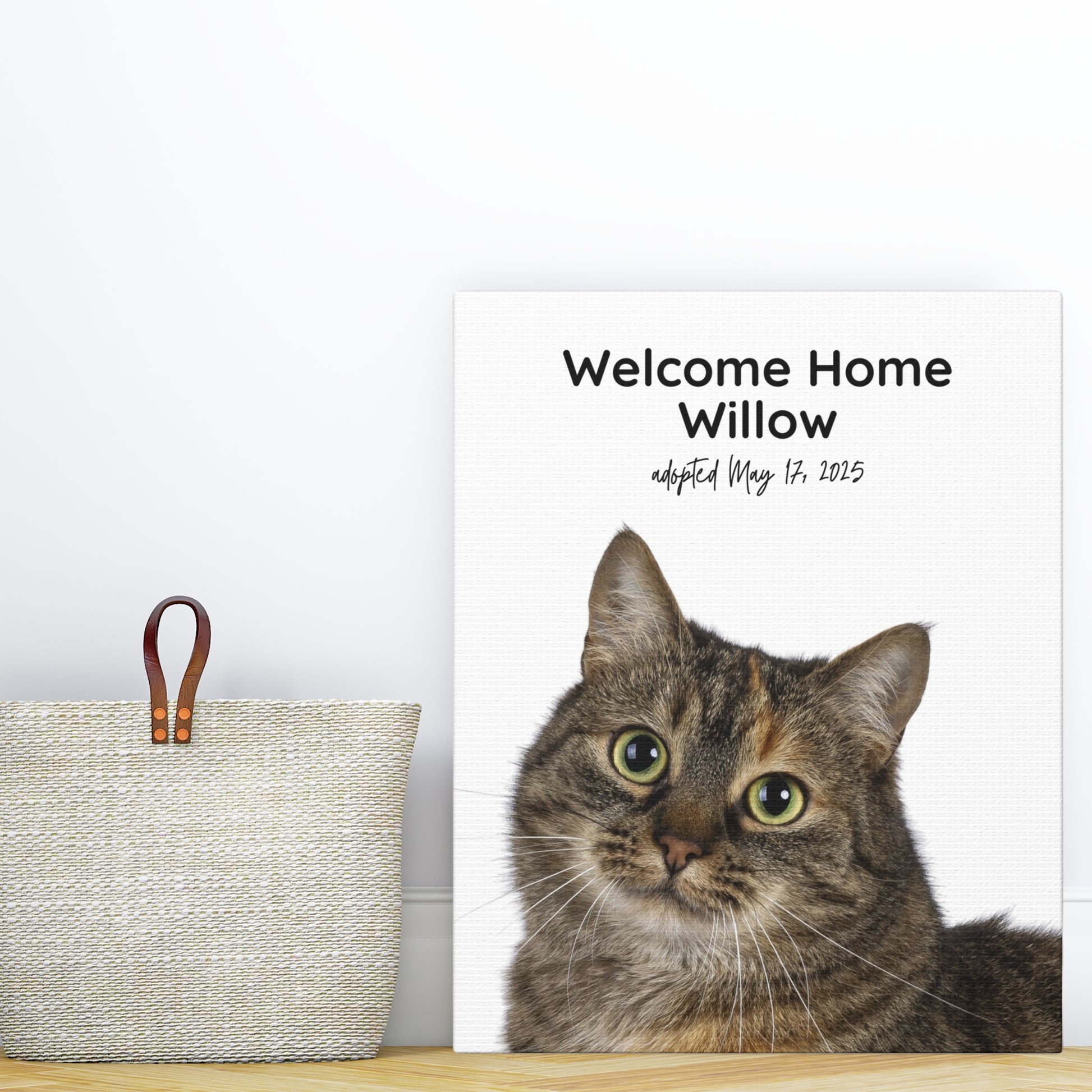Personalized cat adoption canvas featuring Willow with “Welcome Home” and adoption date text, displayed on a wood shelf next to a woven basket.