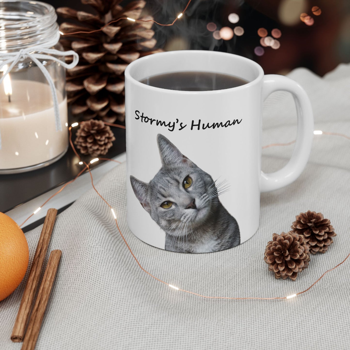 Photo coffee mug for cat lovers featuring pet picture and Stormy's Human message