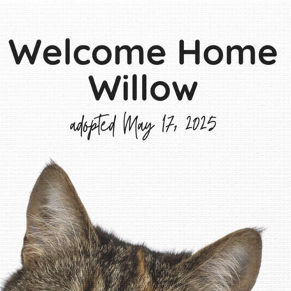 Close-up of personalized cat adoption canvas showing the text “Welcome Home Willow – adopted May 17, 2025” on a white matte background with the cat’s ears peeking into the frame.