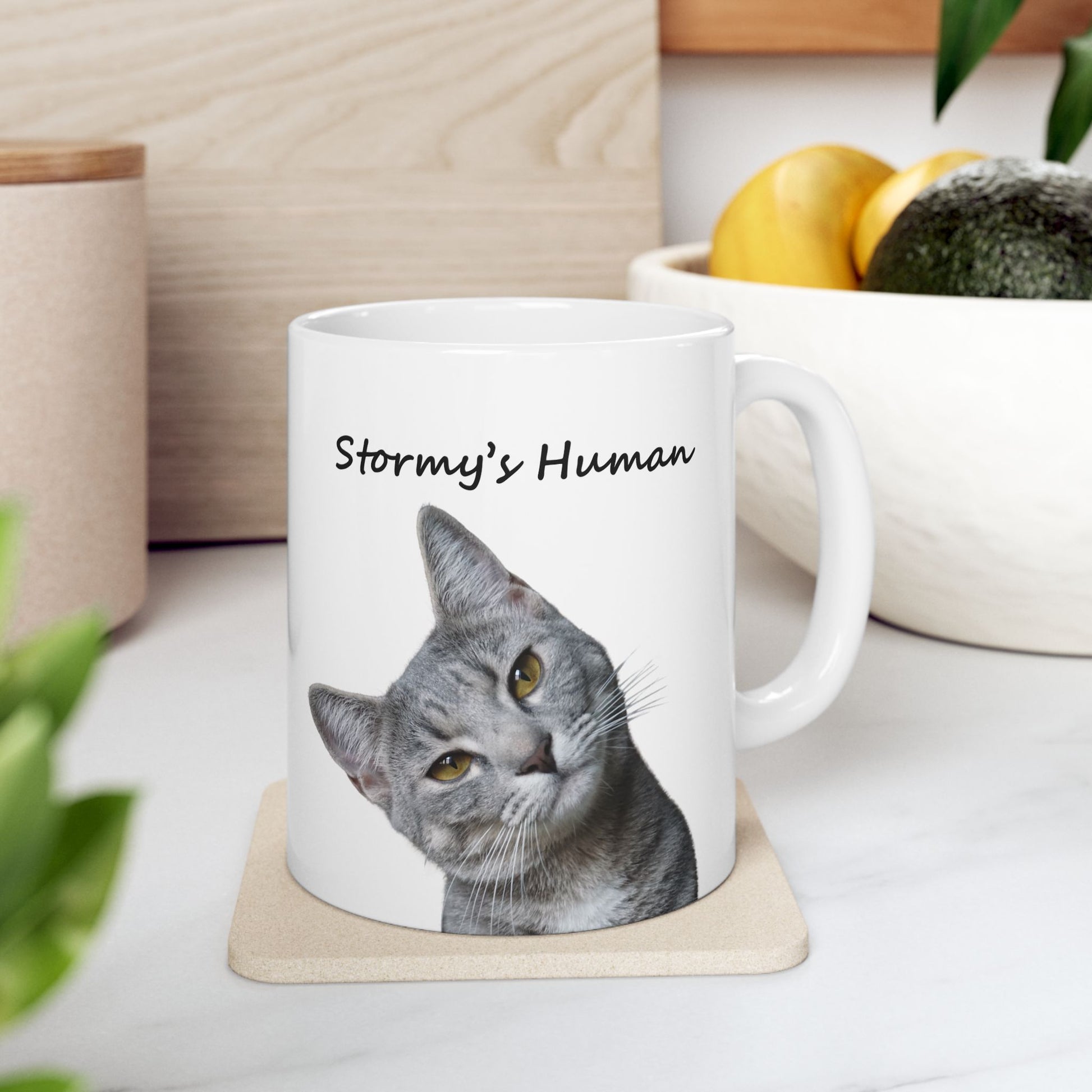 Custom pet gift with cat photo and owner’s title, ideal for birthdays or Mother’s Day