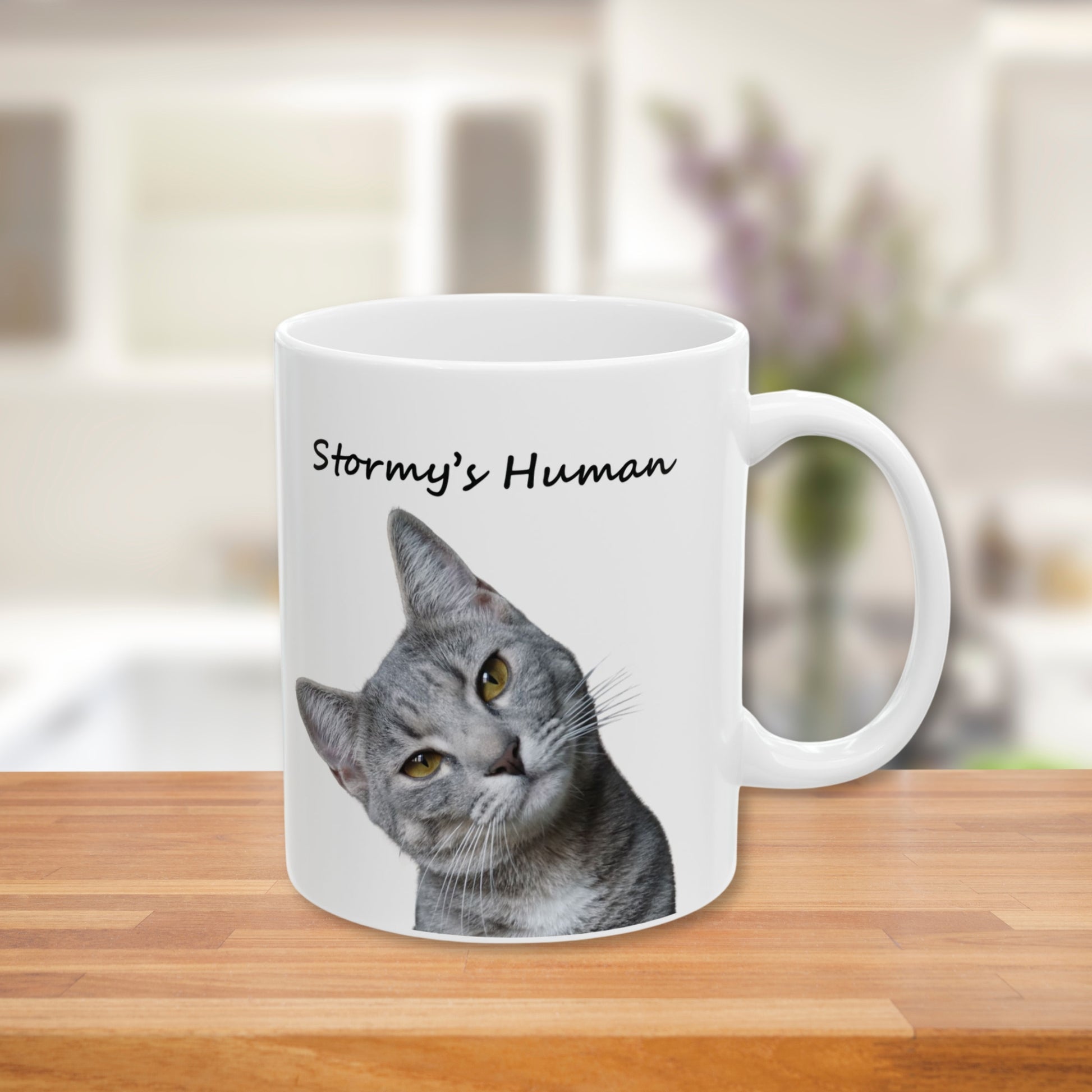 Funny cat owner coffee mug with custom name and pet image