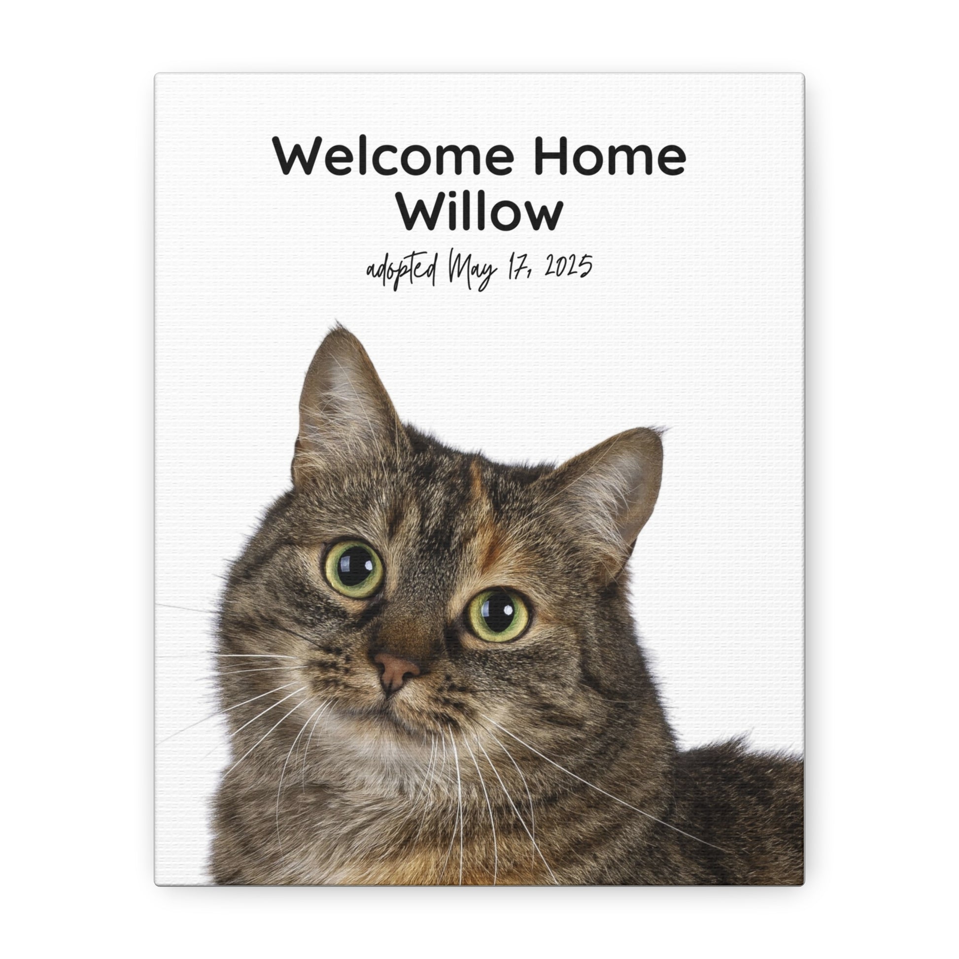 Custom cat adoption canvas featuring a tabby cat with the text “Welcome Home Willow – adopted May 17, 2025” on a white background.