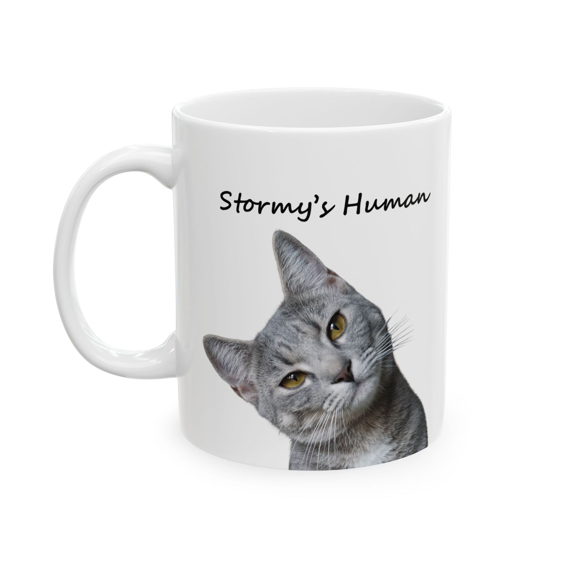 Custom cat mug with photo and Stormy’s Human text, perfect gift for cat moms