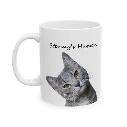 Custom cat mug with photo and Stormy’s Human text, perfect gift for cat moms