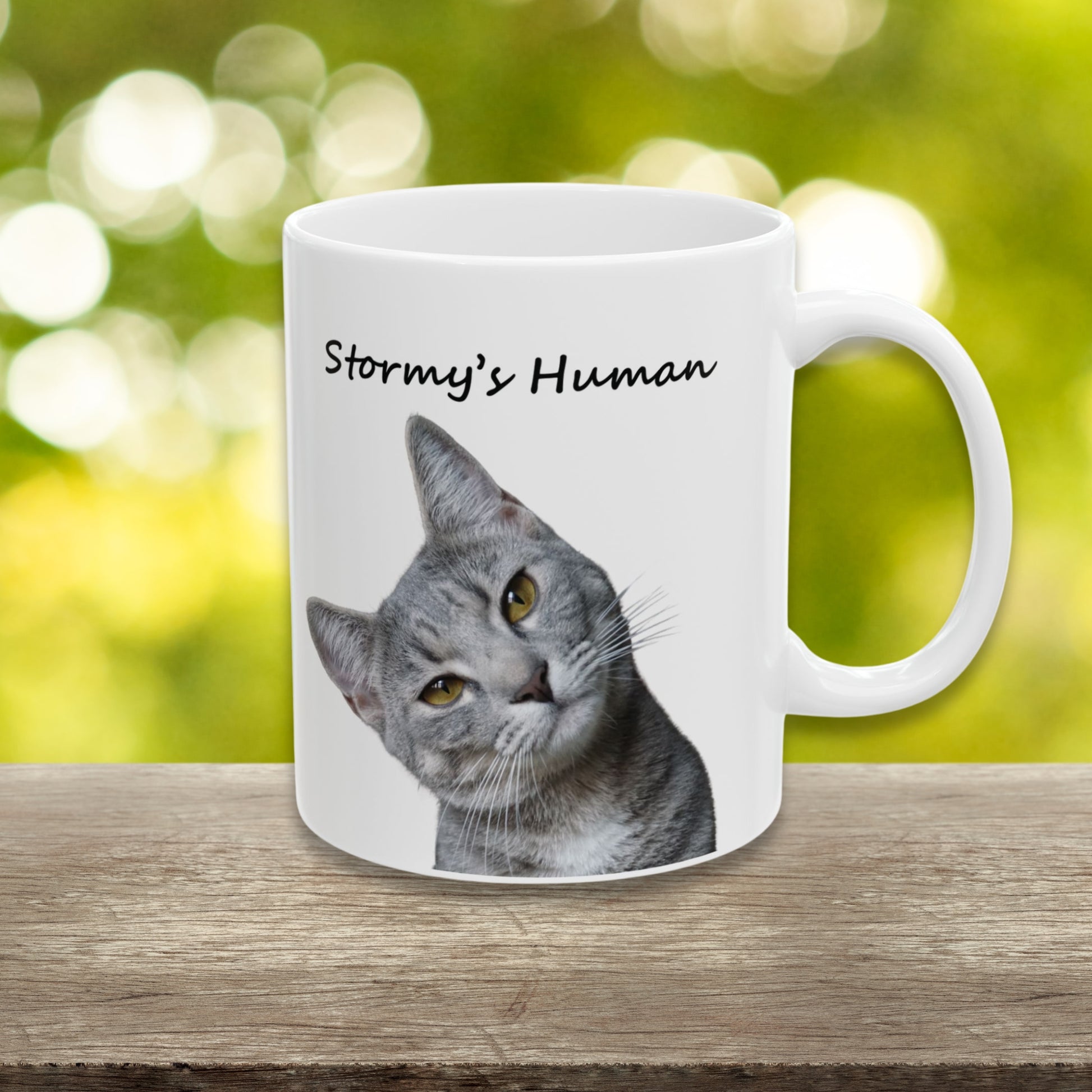 Custom cat mug with photo and Stormy’s Human text, perfect gift for cat moms